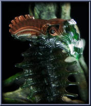 Snake Alien from Aliens - Series 2 manufactured by Kenner [Loose]