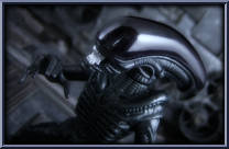 Warrior Alien vs. Renegade Predator from Aliens - Series 2 manufactured by Kenner [Loose]