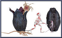 Alien Creature Pack from Aliens - Accessories manufactured by Neca [Loose]