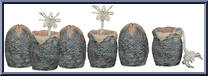 Alien LV-426 Cage-Free Eggs (6 Eggs) (Glow in the Dark) from Aliens - Accessories manufactured by Neca [Loose]