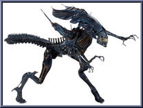 Alien Queen (Blue) from Aliens - Box Sets manufactured by Neca [Loose]