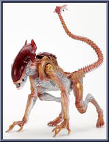 Panther Alien from Aliens - Kenner Tribute manufactured by Neca [Loose]