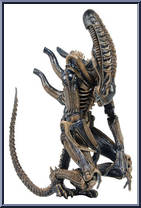 Xenomorph Warrior from Aliens - Series  1 manufactured by Neca [Loose]