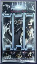 Alien Warrior from Alien vs Predator Requiem - Series 1 manufactured by Neca [Back]