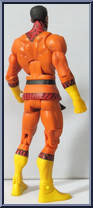 Bronze Tiger from DC Universe Classics - Wave 18 manufactured by Mattel [Loose]