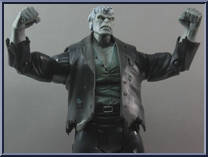Solomon Grundy from DC Universe Classics - Wave  3 manufactured by Mattel [Loose]
