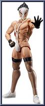 Hentai Kamen (Abnormal Super Hero) from Figma - Kyūkyoku!! Hentai Kamen manufactured by Max Factory [Loose]