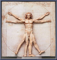 Vitruvian Man from Figma - Table Museum manufactured by Max Factory [Loose]