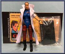 G.I. Joe Featuring Ninja Force and Transformers from G.I. Joe - Collector's Club - 2017 Series manufactured by Hasbro [Front]