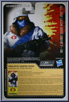 Ice Viper Officer from G.I. Joe - Collector's Club - 2018 Series manufactured by Hasbro [Back]