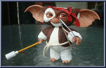 Gizmo (Combat) Action Figure