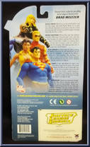 Vixen from Justice League of America - Series 1 manufactured by DC Direct [Back]