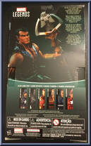 Namor from Marvel Legends - Infinite Series - Exclusives manufactured by Hasbro [Back]