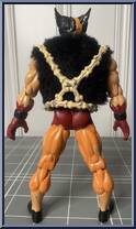 Wolverine (Feral) from Marvel Universe - Savage Force manufactured by Toy Biz [Loose]