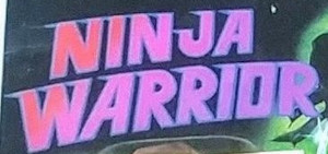 Ninja Warrior (Agglo)