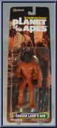 Caesar Land's Ape from Planet of the Apes - Basic Series manufactured by Medicom [Front]