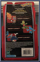 Torchic / Volbeat from Pokemon - Master Quest manufactured by Hasbro [Back]
