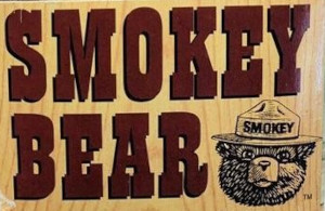 Smokey Bear (Funko)