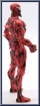 Carnage from Spider-Man - Maximum Carnage manufactured by Toy Biz [Loose]