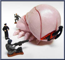 Brain Bug from Starship Troopers - Battle Packs manufactured by Galoob [Loose]