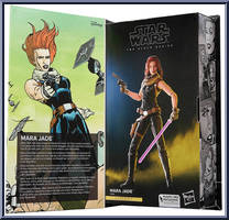 Mara Jade from Star Wars - Black Series (2020) - Publishing Program manufactured by Hasbro [Front]