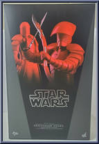 Praetorian Guard (Double Blade) from Star Wars - Last Jedi manufactured by Hot Toys [Front]