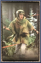Princess Leia from Star Wars - Return of the Jedi manufactured by Hot Toys [Back]