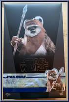 Wicket from Star Wars - Return of the Jedi manufactured by Hot Toys [Front]
