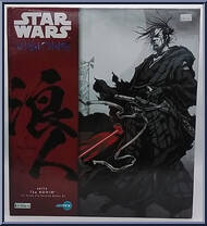 Ronin (Visions) from Star Wars - Model Kits manufactured by Kotobukiya [Front]