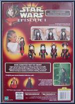 Queen Amidala (Ultimate Hair) from Star Wars - Phantom Menace - Queen Amidala Collection manufactured by Hasbro [Back]