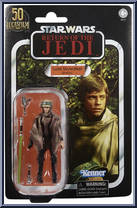 Luke Skywalker (Endor) (Poncho) Action Figure