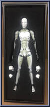 Synthetic Human from TOA Heavy Industries - 1/6 Scale manufactured by 1000toys [Front]