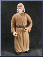 Master Chung Action Figure