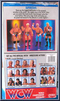 Sting from WCW - 14" Scale manufactured by Galoob [Back]