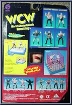 Diamond Dallas Page (Double Axe Handle) from WCW - 1998 Series manufactured by Original San Francisco Toymakers [Back]