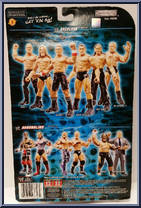 Triple H from WWE Backlash - Series 12 manufactured by Jakks Pacific [Back]