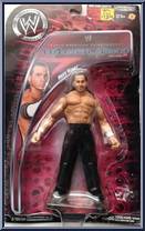 Matt Hardy Action Figure