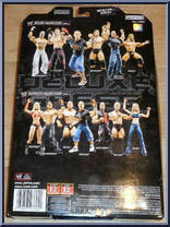 Triple H from WWE Deluxe Aggression - Series 13 manufactured by Jakks Pacific [Back]