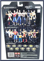 Matt Hardy from WWE Deluxe Aggression - Series 19 manufactured by Jakks Pacific [Back]
