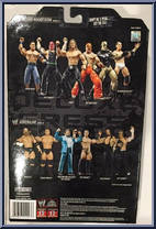 Jeff Hardy from WWE Deluxe Aggression - Series 21 manufactured by Jakks Pacific [Back]