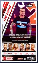 CM Punk from WWE Elite Collection - Series 115 manufactured by Mattel [Back]