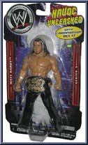 Matt Hardy from WWE Havoc Unleashed - Series 3 manufactured by Jakks Pacific [Front]