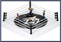Mixed Match Challenge Starter Set from WWE HeroClix - Sets manufactured by WizKids [Loose]