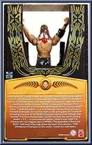 Chris Jericho from WWE - Defining Moments manufactured by Mattel [Back]
