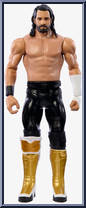 Seth Rollins from WWE - Series 137 manufactured by Mattel [Loose]
