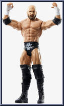 Triple H from WWE - Series 106 manufactured by Mattel [Loose]