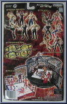 Scott Steiner from WWE Pay Per View - Series  1 - Bad Blood manufactured by Jakks Pacific [Back]