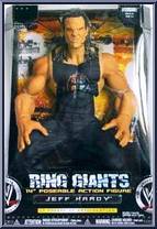 Jeff Hardy Action Figure
