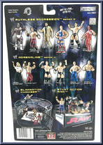 Randy Orton from WWE Ruthless Aggression - Series 12 manufactured by Jakks Pacific [Back]