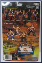 Shawn Michaels from WWE Ruthless Aggression - Series 16.5 manufactured by Jakks Pacific [Back]